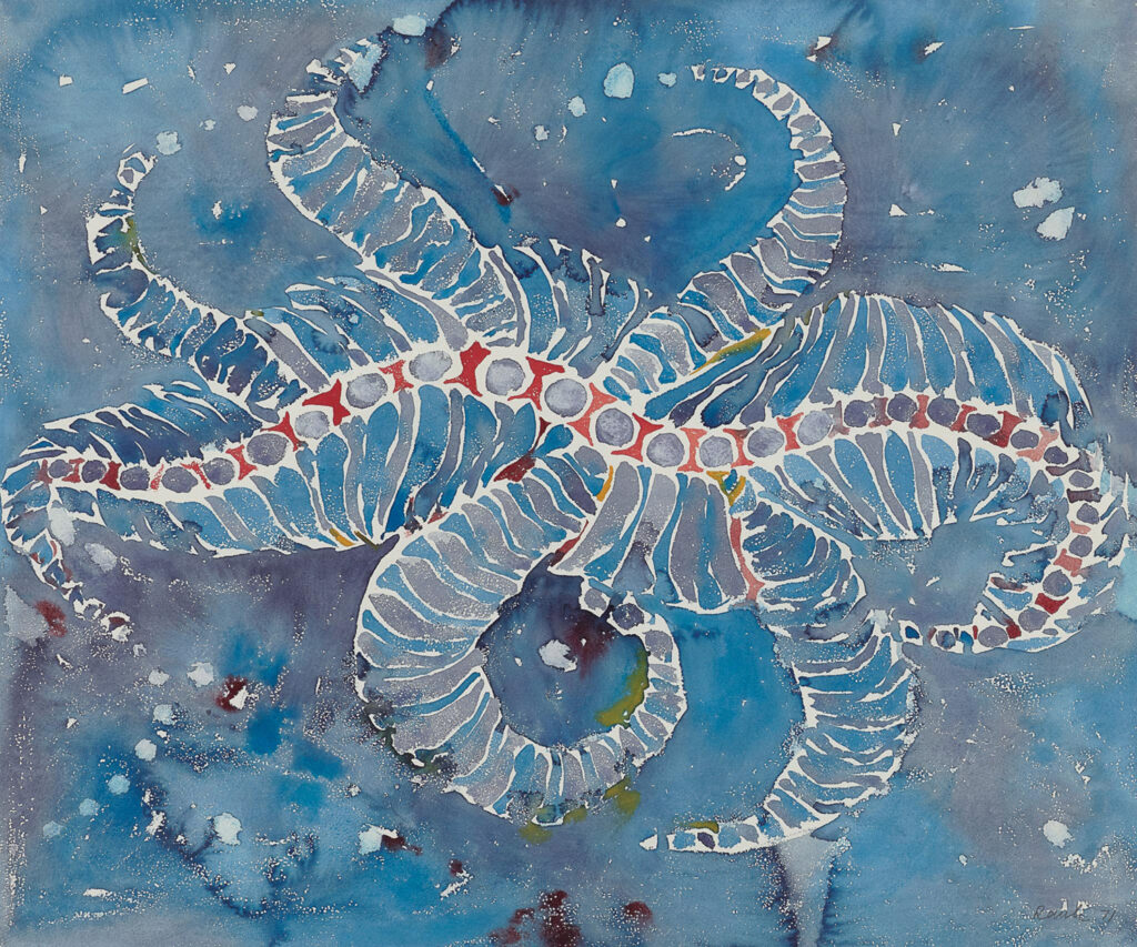 138105-Rauh-1024x853