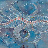 138105-Rauh-1024x853