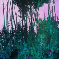 simonsen painting pink green botanical abstract